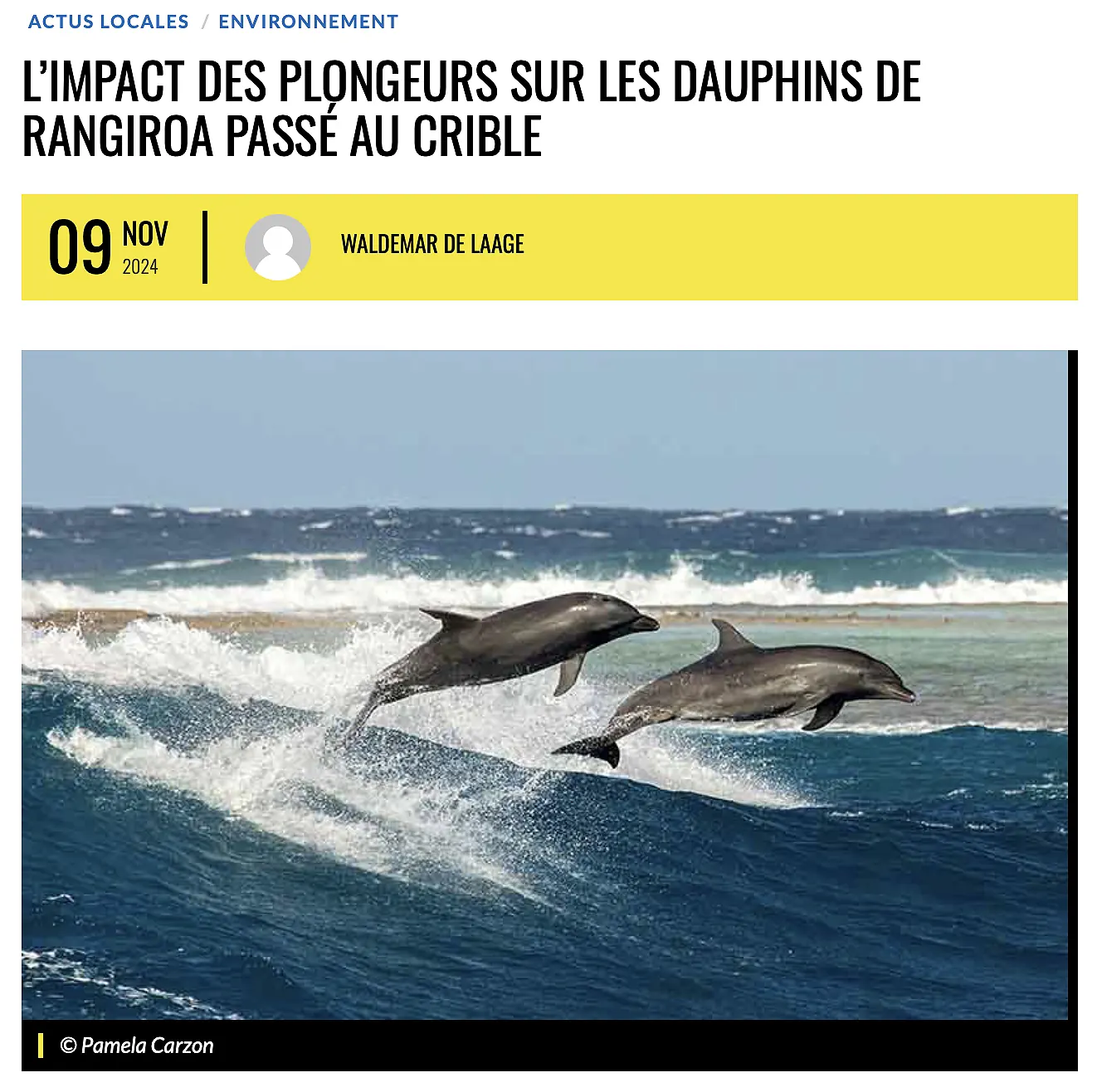 L’impact du tourisme de plongée sous-marine sur les grands dauphins de Rangiroa passé au crible