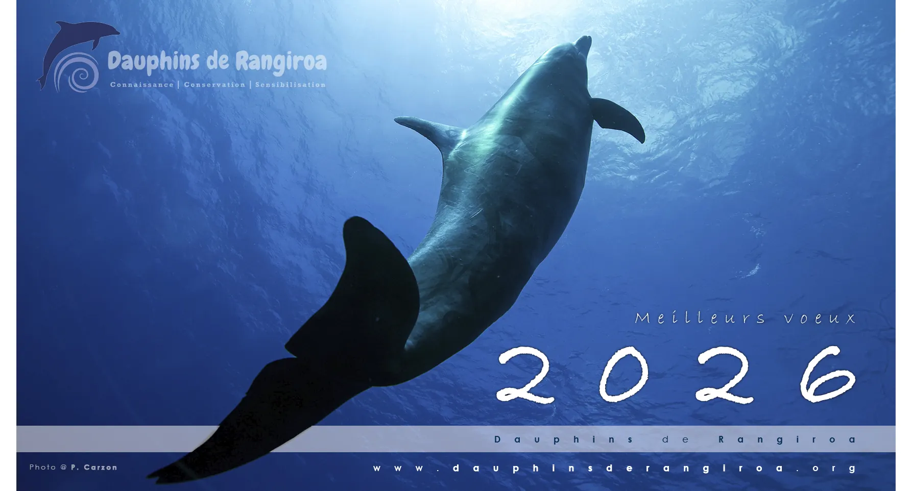 L’association “Dauphins de Rangiroa” vous souhaite une excellente année 2026 !
