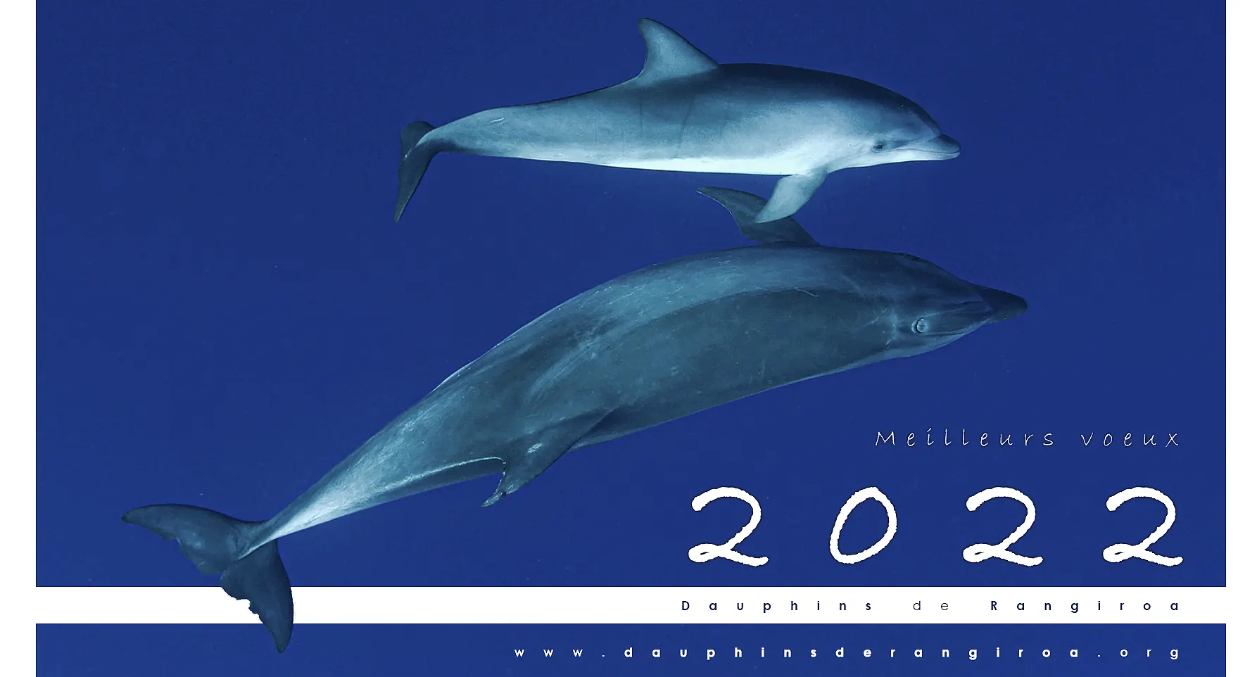 2021 en deux mots...