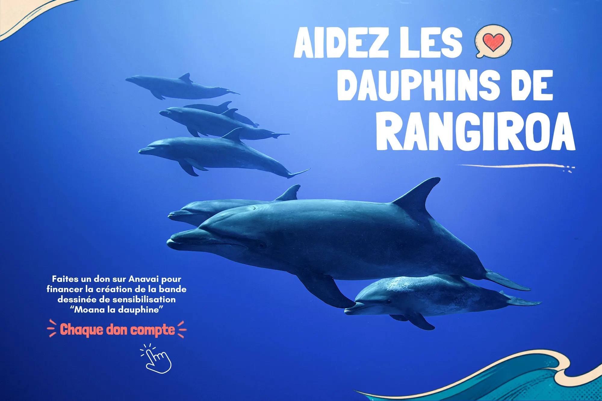 La Fondation Anavai lance une collecte pour aider les dauphins de Rangiroa !