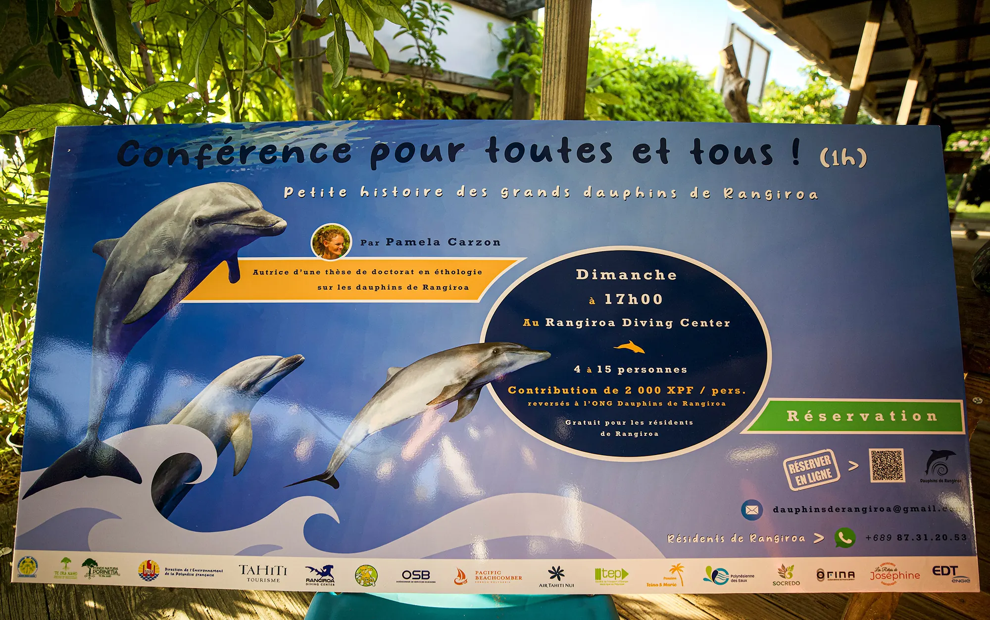 Lancement d'une série de conférences sur les dauphins de Rangiroa !